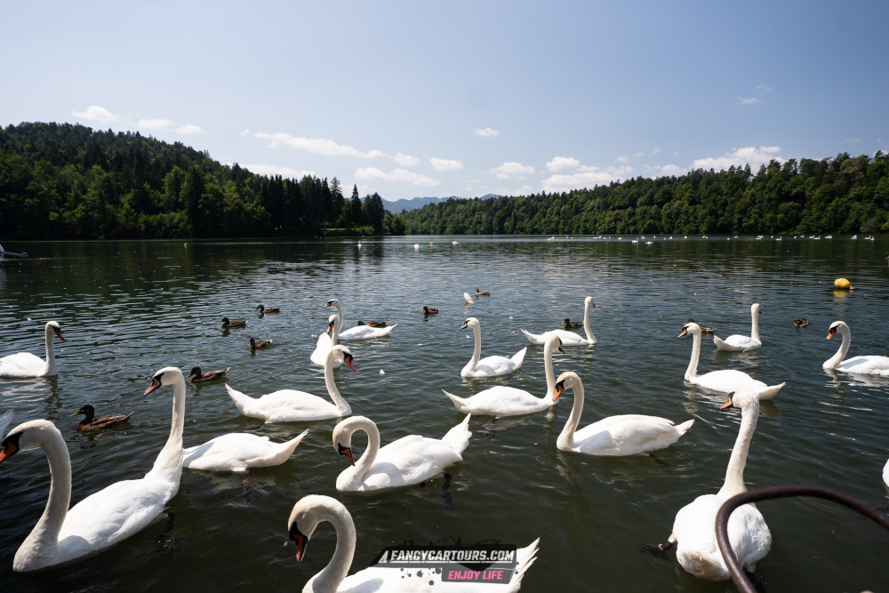 Slovenia 2026